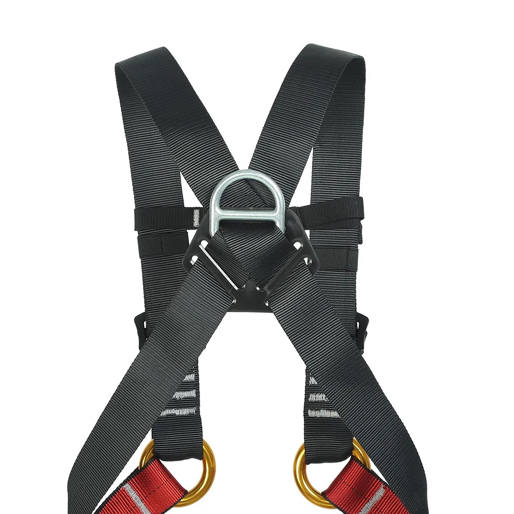 حزام أمان للأطفال للتوسيع الدا - مراجعة Kids Outdoor Gear وسعره