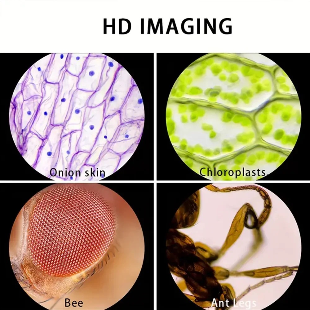 مجهر محمول باليد بتكبير 60X و1 - مراجعة Kids Outdoor Microscope وسعره